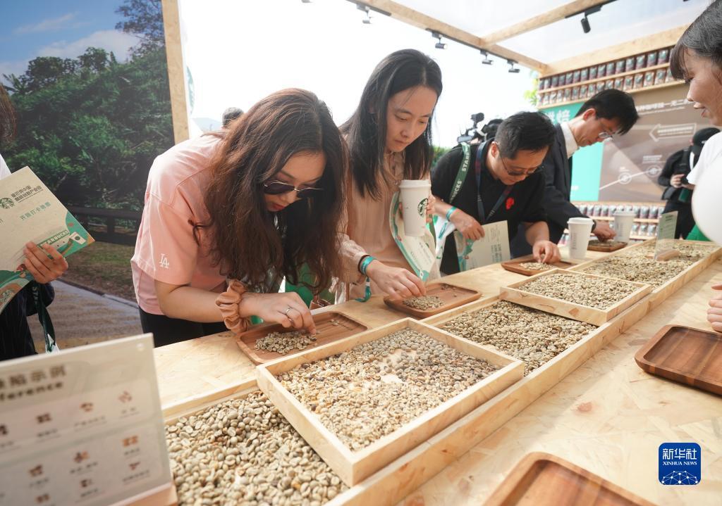 大菠萝手机棋牌